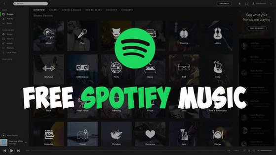 Download Spotify Music Free Pc